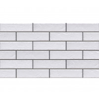 Плитка Cerrad Elewacja Foggia Bianco 6,5х24,5