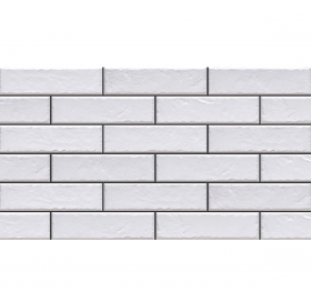 Плитка Cerrad Elewacja Foggia Bianco 6,5х24,5