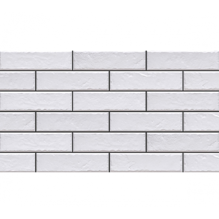 Плитка Cerrad Elewacja Foggia Bianco 6,5х24,5