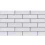  Плитка Cerrad Elewacja Foggia Bianco 6,5х24,5