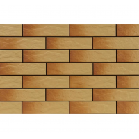 Плитка Cerrad Elewacja Rustico Gobi 6,5х24,5