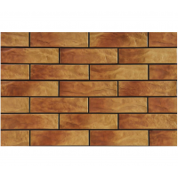 Плитка Cerrad Elewacja Rustico Dakota 6,5х24,5