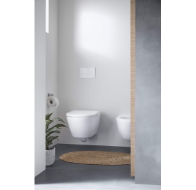 Унитаз подвесной укороченный Duravit D-Neo Rimless (2588090000) + сиденье с крышкой Soft Close (0021690000), 45880900A1