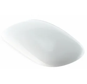 Сиденье для унитаза Geberit Citterio 500.540.01.1 soft-close дюропласт