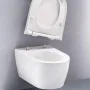 Унитаз подвесной Geberit ONE Rimfree 500.202.JT.1 с сиденьем Soft-Close (Белый матовый)
