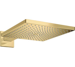 Верхний душ Hansgrohe Raindance E 300 1jet с душевым кронштейном Polished Gold Optic 26238990
