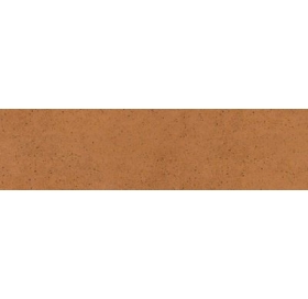 Фасадная плитка Paradyz Aquarius 24,5x6,5 brown PRZ00212