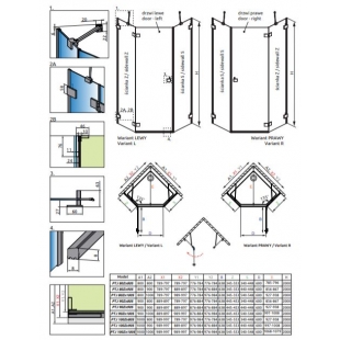 Душевая кабина RADAWAY Essenza Pro PTJ (80/80) 10100000-01-01R + 10100100-01-01