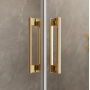 Душевая дверь RADAWAY Idea Gold DWJ 120, 387016-09-01R