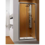 Душевые двери Radaway Premium Plus DWJ 110 см 33302-01-01N