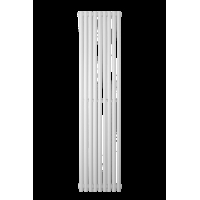 Вертикальний радіатор Betatherm Praktikum 2 H-1600 мм, L-349 мм PV 2160/09 9016M 99
