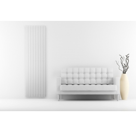 Вертикальний радіатор Betatherm Praktikum 2, H-2000 мм, L-539 мм PV 2200/14 9016M 99
