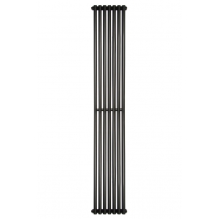 Дизайнерські радіатори Betatherm Praktikum 2, H-1800 мм, L-275 мм PV 2180/07 9005M 99
