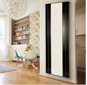 Вертикальний радіатор Betatherm  Mirror PE 1118/08 RAL9005 М 99 LE 1180/08 9005M 99