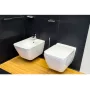 Унитаз подвесной безободковый Villeroy & Boch Finion с покрытием Ceramic Plus 4664R0R1 + Сиденье