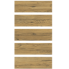Плитка керамогранитная Cersanit Aspenwood Brown 18.5x59.8x8 TGGZ1055404952