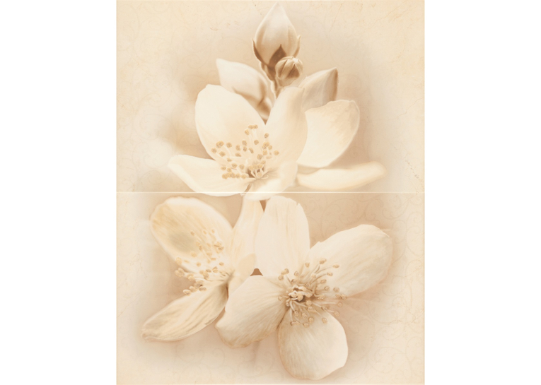 Плитка керамогранітна Cersanit DEC DIANA FLOWER ДЕКОР2 TDZZ1263852386