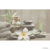 Плитка керамогранітна Cersanit DEC OLIVIA GREY SPA1 ДЕКОР TDZZ1213756040