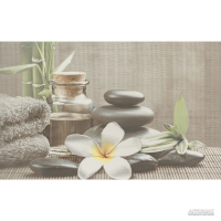 Плитка керамогранитная Cersanit DEC OLIVIA GREY SPA1 ДЕКОР TDZZ1213756040