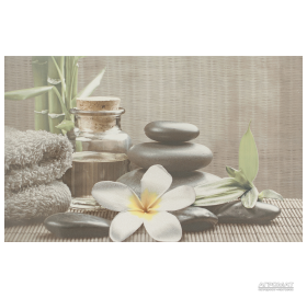 Плитка керамогранитная Cersanit DEC OLIVIA GREY SPA1 ДЕКОР TDZZ1213756040