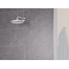 Душевой комплект с системой Grohe Grohtherm Tempesta 210 (34729000)