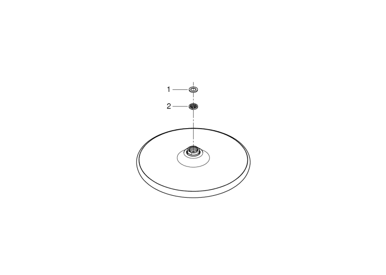 верхній душ grohe tempesta 250 з WaterSaving (26666000)