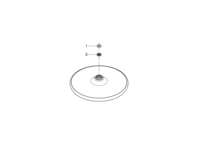 верхній душ grohe tempesta 250 з WaterSaving (26666000)