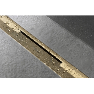 Верхняя часть Hansgrohe "RainDrain Flex" для канала (пристенная) 1000 мм Polished Gold Optic 56053990