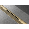 Верхня частина Hansgrohe "RainDrain Flex" для каналу (пристінна) 700 мм Polished Gold Optic 56050990
