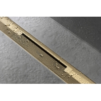 Верхняя часть Hansgrohe "RainDrain Flex" для канала (пристенная) 700 мм Polished Gold Optic 56050990