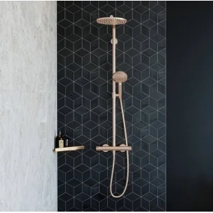Душевая система с термостатом Hansgrohe Raindance Select S Showerpipe 240 1jet Brushed Bronze 27633140