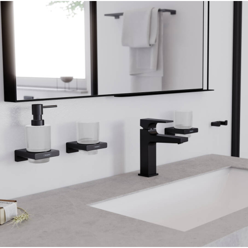 Подвійний гачок Hansgrohe AddStoris 41755670 чорний матовий (Пошкоджене пакування)