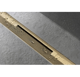 Верхняя часть Hansgrohe "RainDrain Flex" для канала (пристенная) 1200 мм Polished Gold Optic 56054990