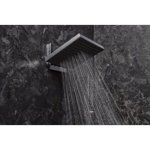 Верхний душ Hansgrohe Pulsify E 260 2jet EcoSmart с держателем, Chrome (24351000)