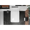 Унитаз подвесной HANSGROHE EluPura Q 60194450 Rimless с сиденьем Soft Close 60150450 дюропласт