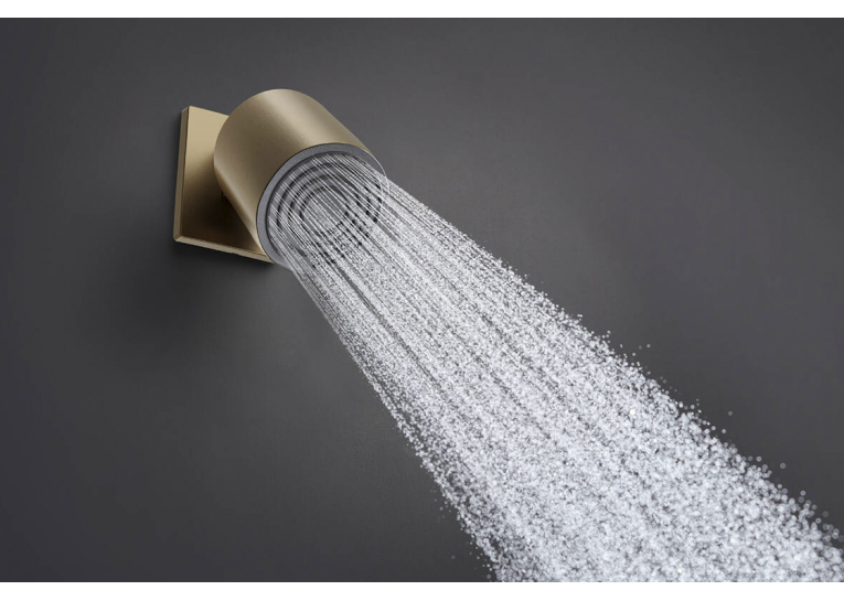 Верхній душ Hansgrohe Pulsify 105 1jet, Brushed Bronze (24130140) (Пошкоджене пакування)
