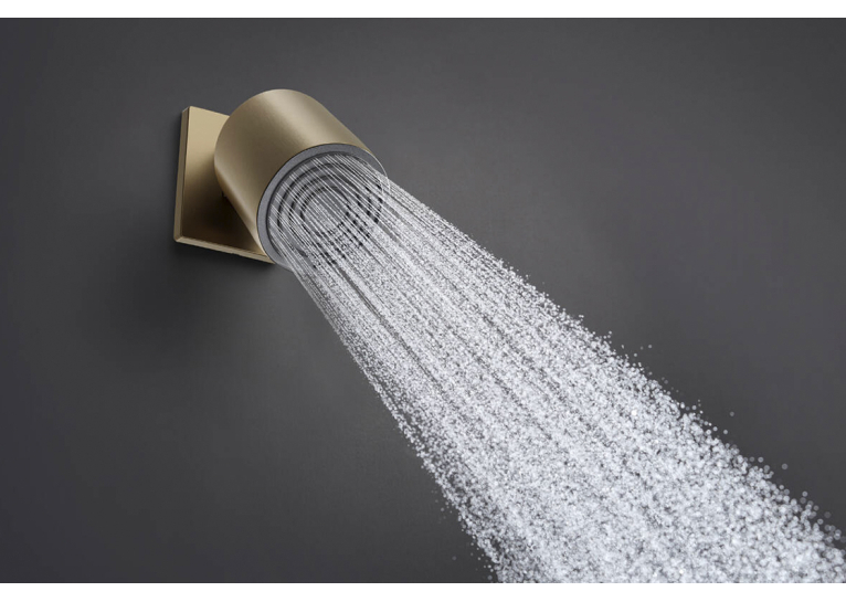 Верхній душ Hansgrohe Pulsify 105 1jet, Brushed Bronze (24130140) (Пошкоджене пакування)