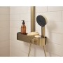 Ручной душ Hansgrohe Pulsify Select Relaxation 105 3jet EcoSmart, Brushed Bronze (24111140)