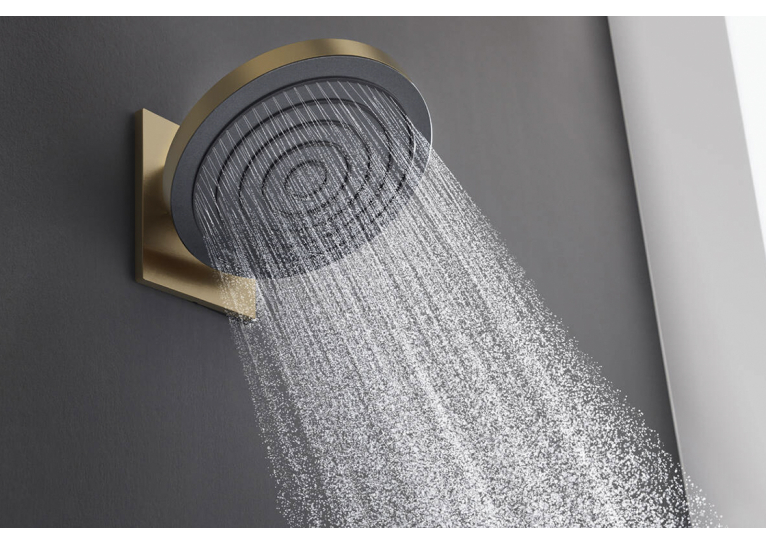 Верхний душ Hansgrohe Pulsify 260 1jet EcoSmart, Brushed Bronze (24141140)