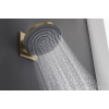 Верхній душ Hansgrohe Pulsify 260 1jet, Brushed Bronze (24140140)