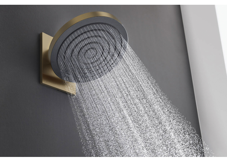 Верхній душ Hansgrohe Pulsify 260 1jet, Brushed Bronze (24140140)
