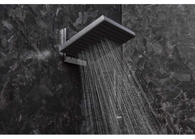Верхний душ Hansgrohe Pulsify E 260 2jet с держателем, Chrome (24350000)