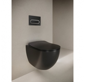 WC Панель управління Ravak Chrome Чорний X01797