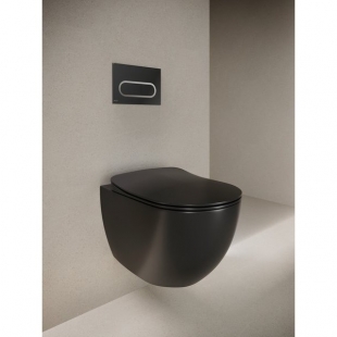 WC Панель управління Ravak Chrome Чорний X01797
