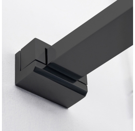 Душевая перегородка Roth ECWALK 1200/2050 BK/ČS, 585-1200000-05-02