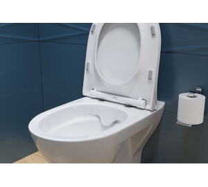 Унитаз подвесной Cersanit B291 Mille Clean On с сиденьем Slim дюропласт (S701-453)