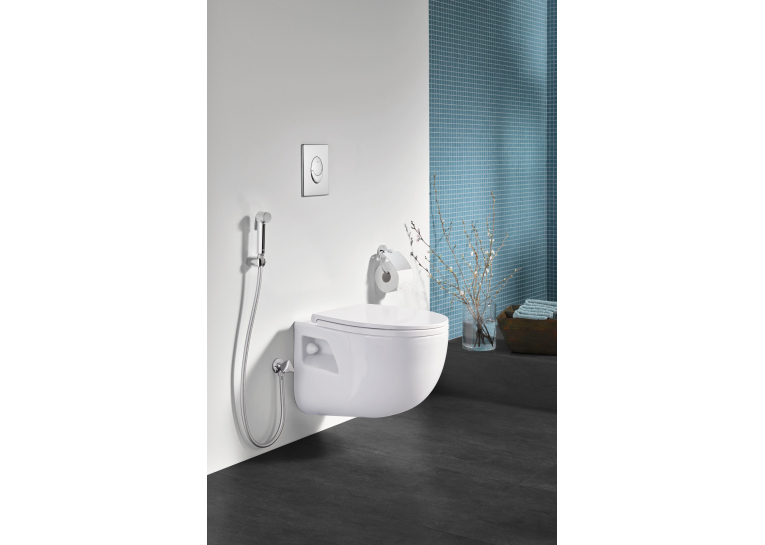 Гігієнічний душ GROHE Tempesta-F Trigger Spray 27512001