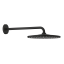 Верхний душ с кронштейном Grohe Rainshower 310 Mono 310 22121KF0