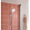 Душовий гарнітур Grohe New Tempesta Cosmopolitan 100 27929003