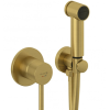 Набір гігієнічного душу брашоване золото KLUDI BOZZ BRUSHED GOLD  (38998N076) 